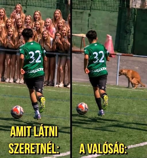 Megyei játékosok