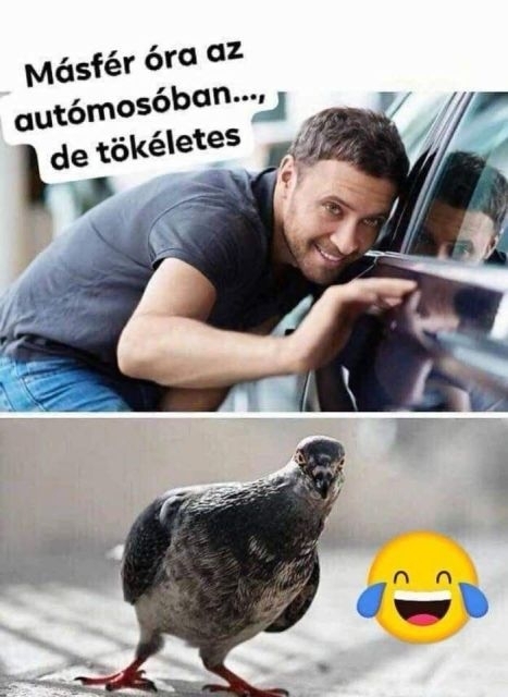 Szerintem nemsokáig lesz az!