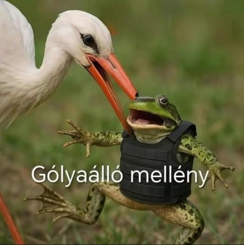 Hét eleji agyzsibbasztó