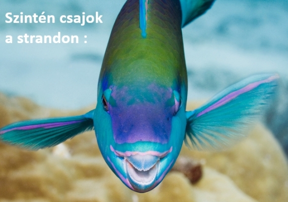 Csajok - Nem sminkelek nyáron!