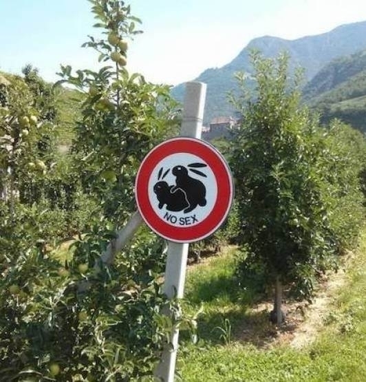 A kufircolás nem megengedett!