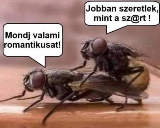 Ezt elsütöttem az asszonynál, sörrel