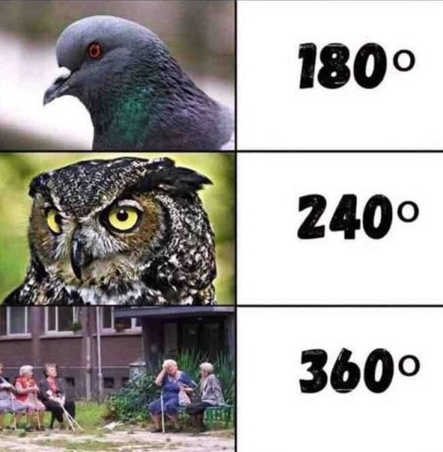 Látószögek