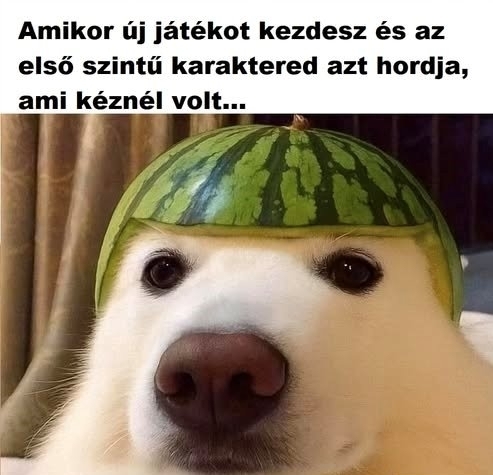 Minden kezdet nehéz